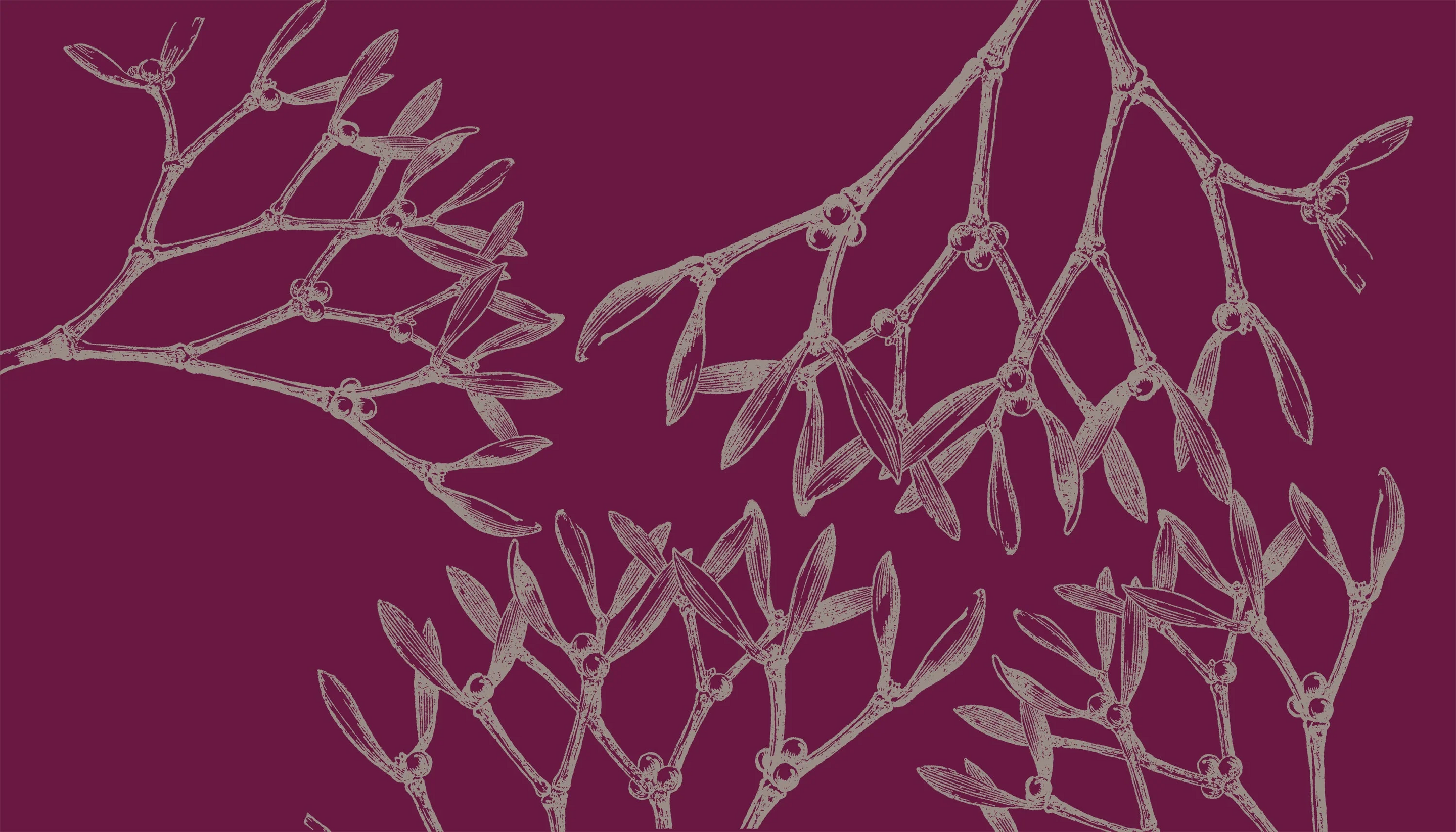 The Mistletoe Collection